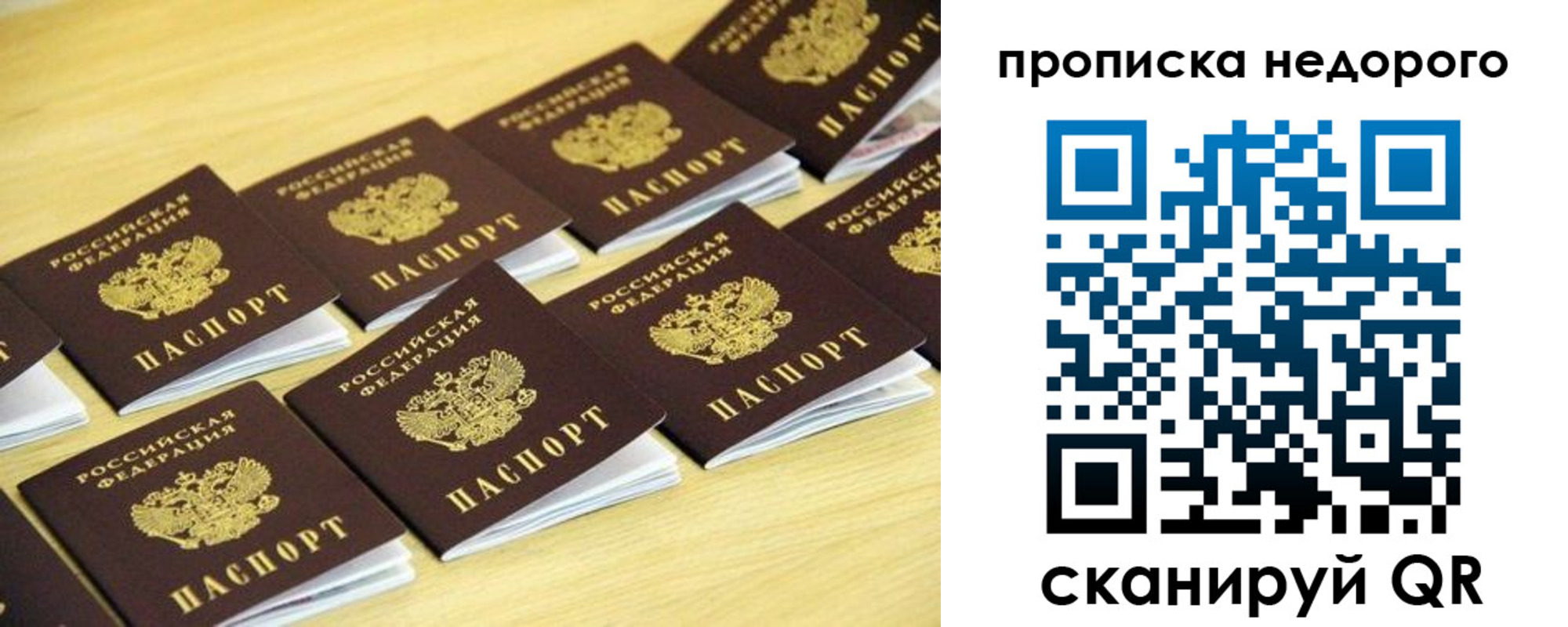 прописка для работы в Гвардейске